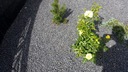 фото mini №4, Garden gravel black 1000 kg