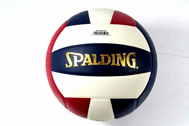 Spalding Volleyball