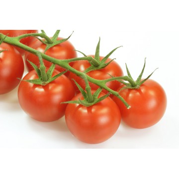 Pomidory Gałązkowe Holandia 1kg