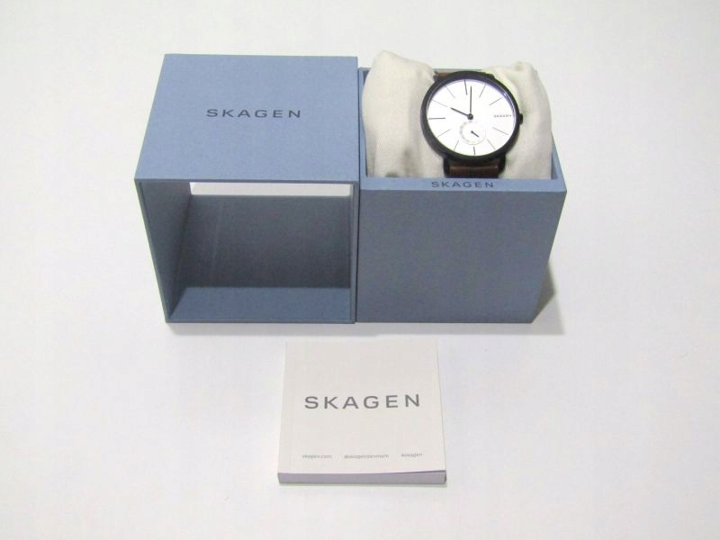 Skagen 6216 on sale