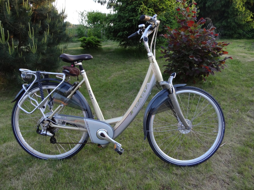 Sparta Ion GL - rower z silnikiem elektrycznym