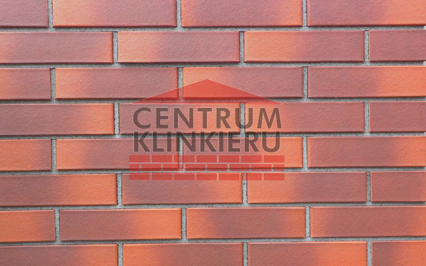 LODE CAMELEO CEGŁA PEŁNA CIENIOWANA
