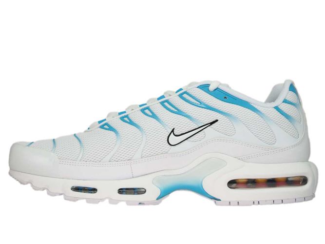 wawa nikes