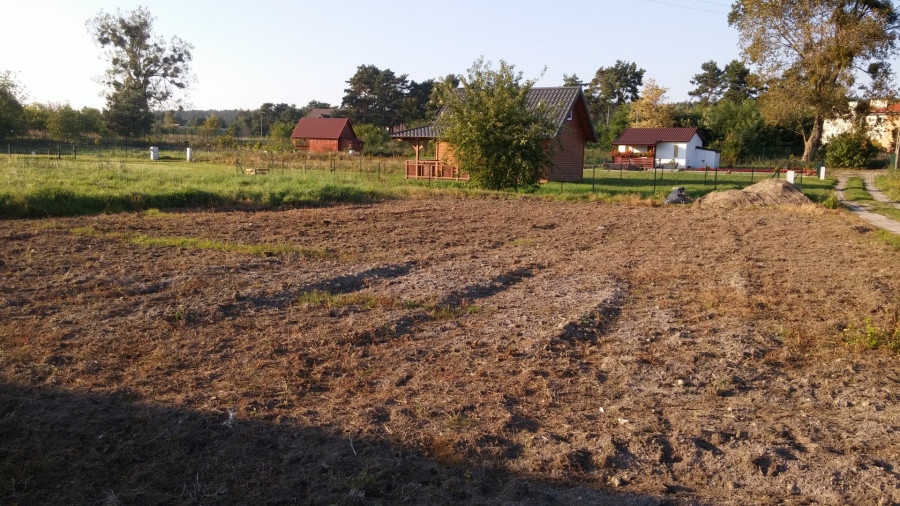 Działka nad morzem w ROD Gdańsk Wyspa Sobieszewska