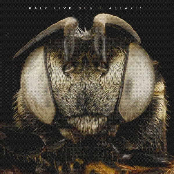 Kaly Live Dub - Allaxis (2LP)