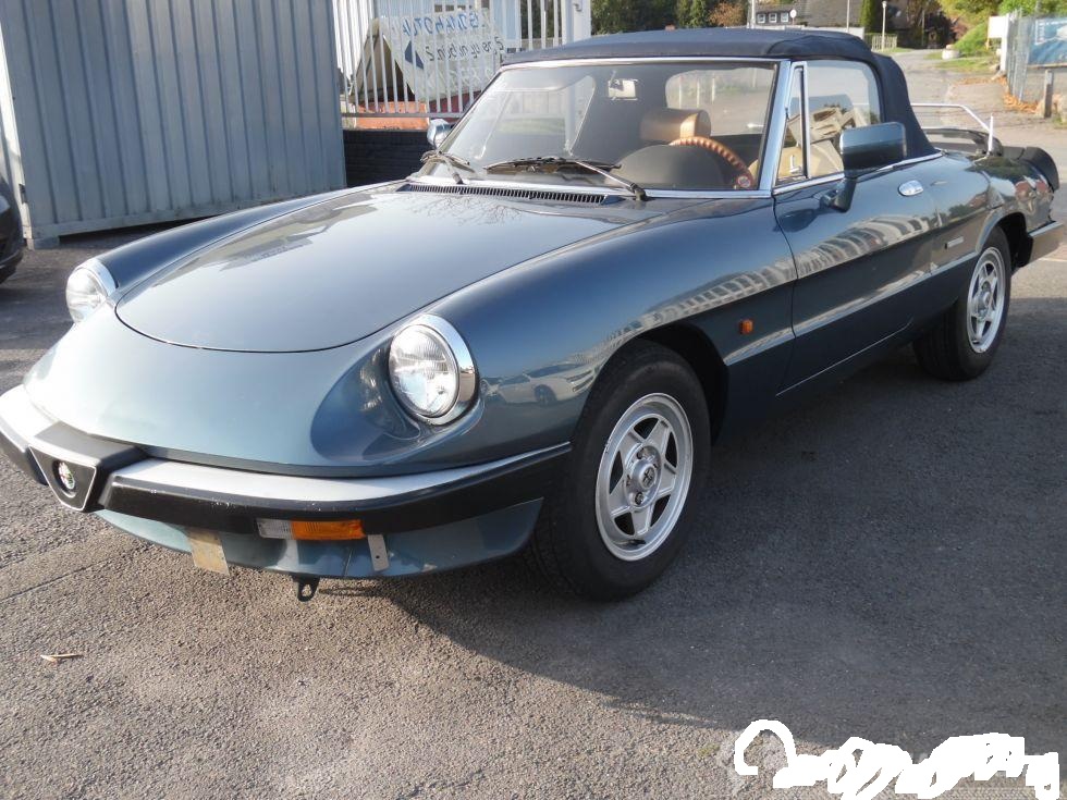 alfa spider super stan