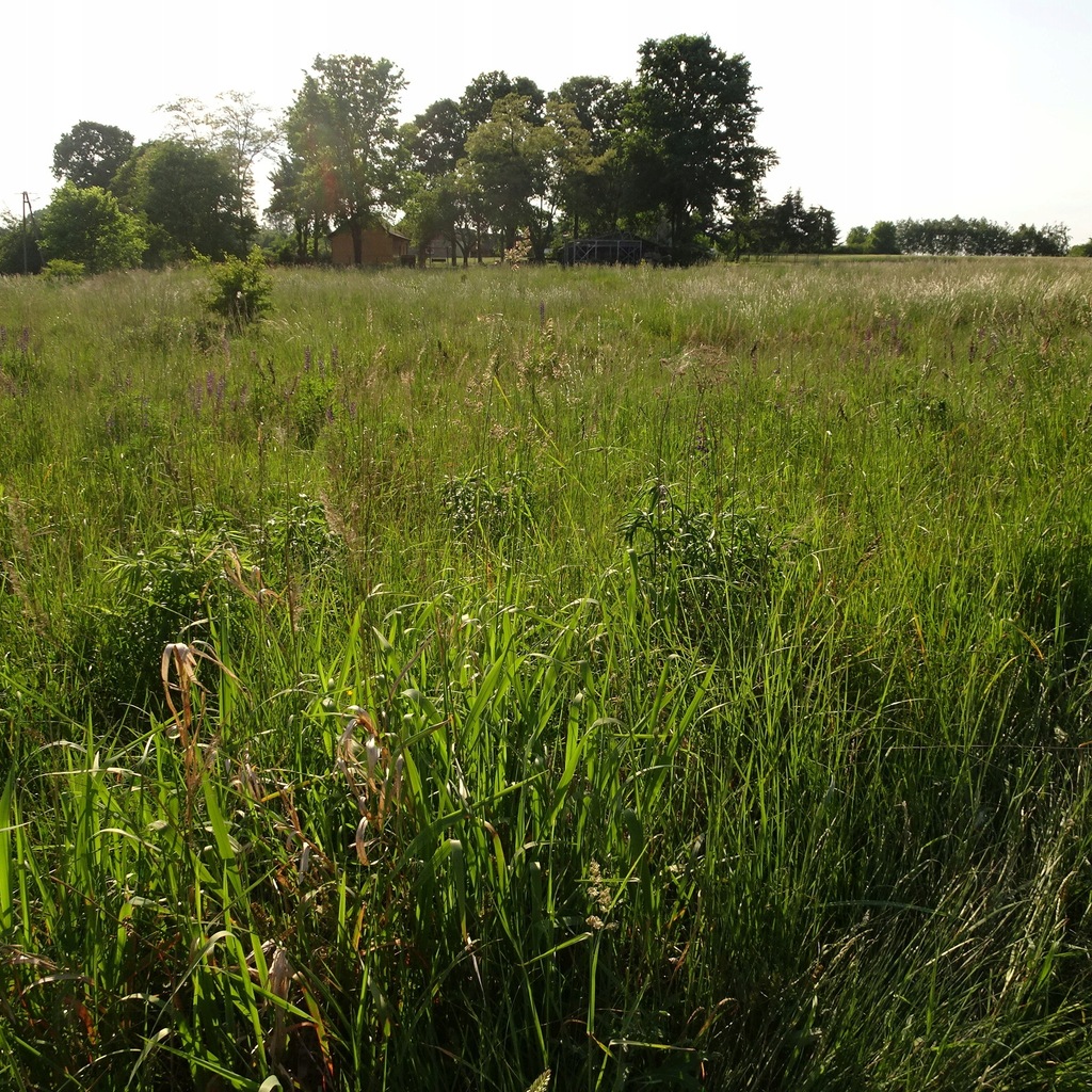Działka