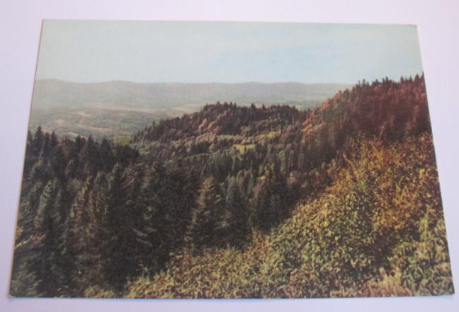 Bieszczady. Pasmo Otrytu.