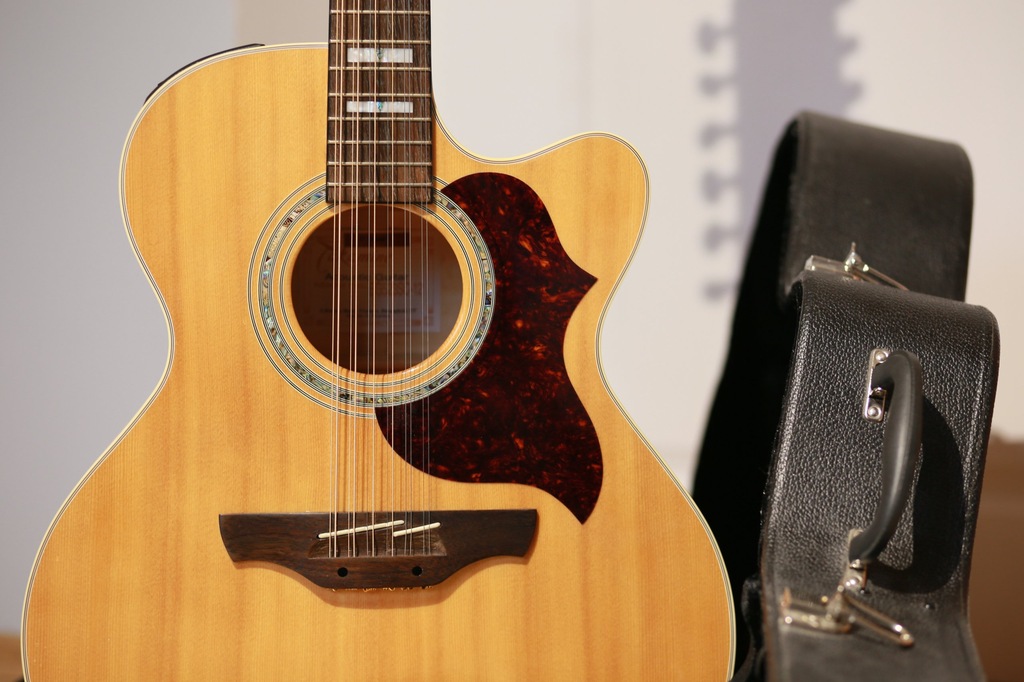 12 strunowa gitara Takamine EG523SC-12