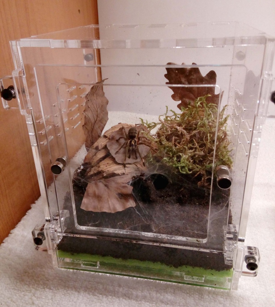 Terrarium Akrylowe 10x10x13cm dla Pająka,Modliszki