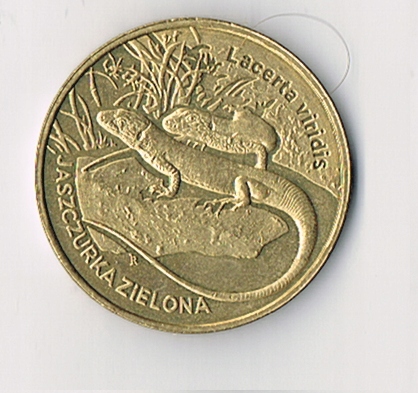 2zł Jaszczurka Zielona Lacerta viridis 2009 (BCM)