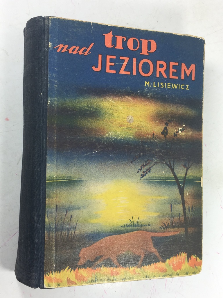 LISIEWICZ TROP NAD JEZIOREM il PRONASZKO