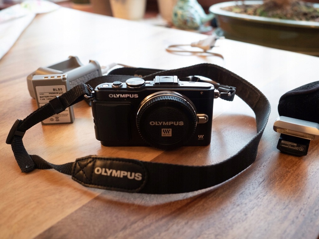 Olympus e-pl5