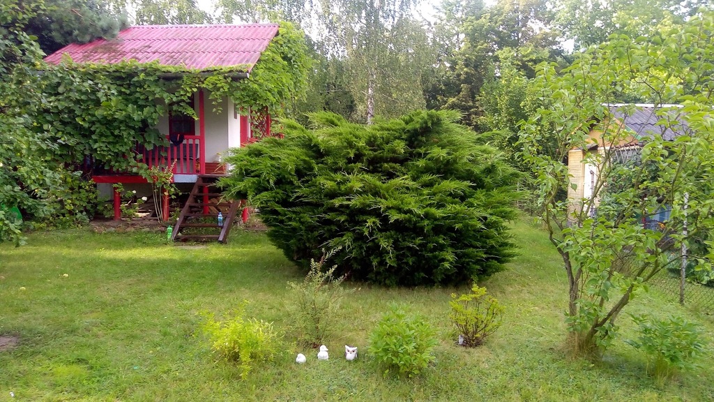 DZIAŁKA REKREACYJNA GRÓJEC
