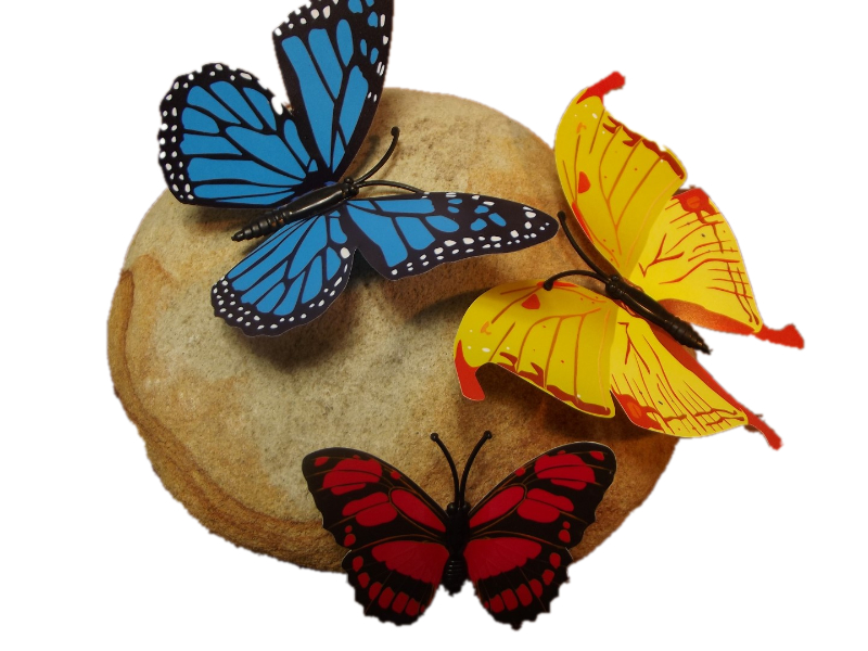 motyle motylki na kamieniu , prezent