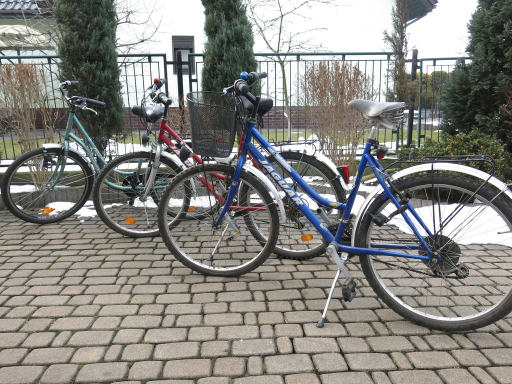 Rower damski JAGUAR 7231855683 oficjalne archiwum Allegro