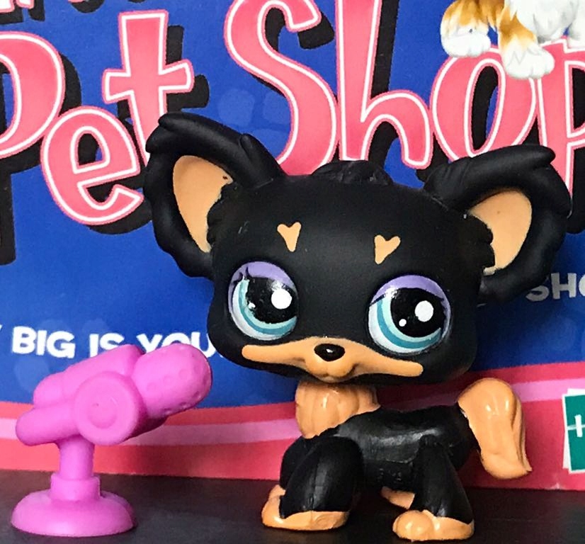 LPS little pet shop バーチャルペット　dog わんちゃん Littlest Pet Shop Piesek chihuahua #1571 Oryginał