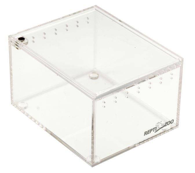 TERRARIUM 10X8X6 KARMÓWKA ŚWIERSZCZE LARWY OWADY