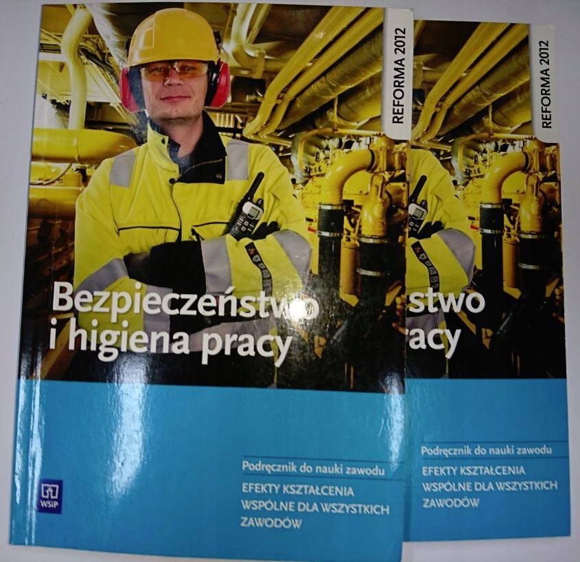 Bezpieczeństwo I Higiena Pracy Definicja BEZPIECZEŃSTWO I HIGIENA PRACY BUKAŁA WSiP 2516 - 7509828533