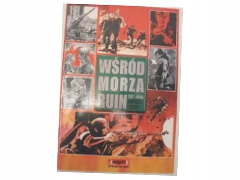 Wśród morza ruin - A. Chyży