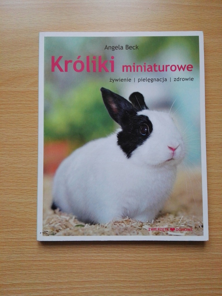Króliki miniaturowe Angela Beck - Polecam !!!