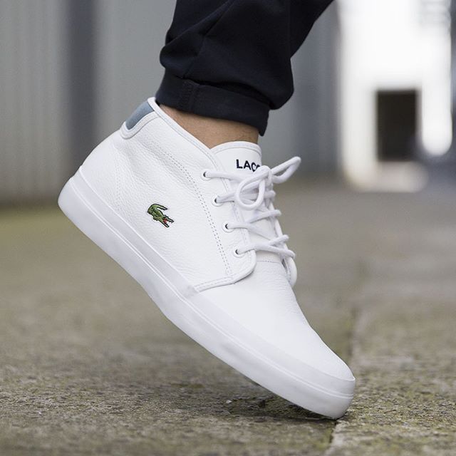 lacoste ampthill chukka