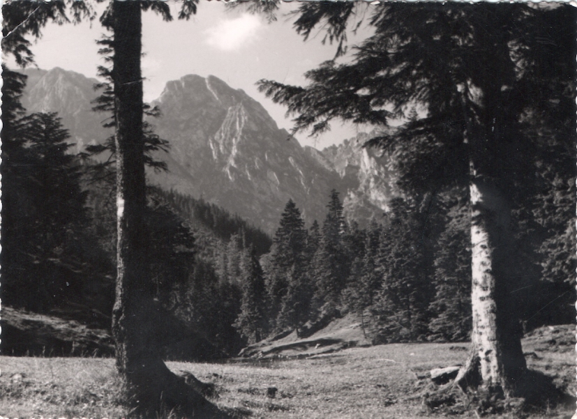 TATRY - WIDOK NA GIEWONT + REGIEL GÓRNY - 1960