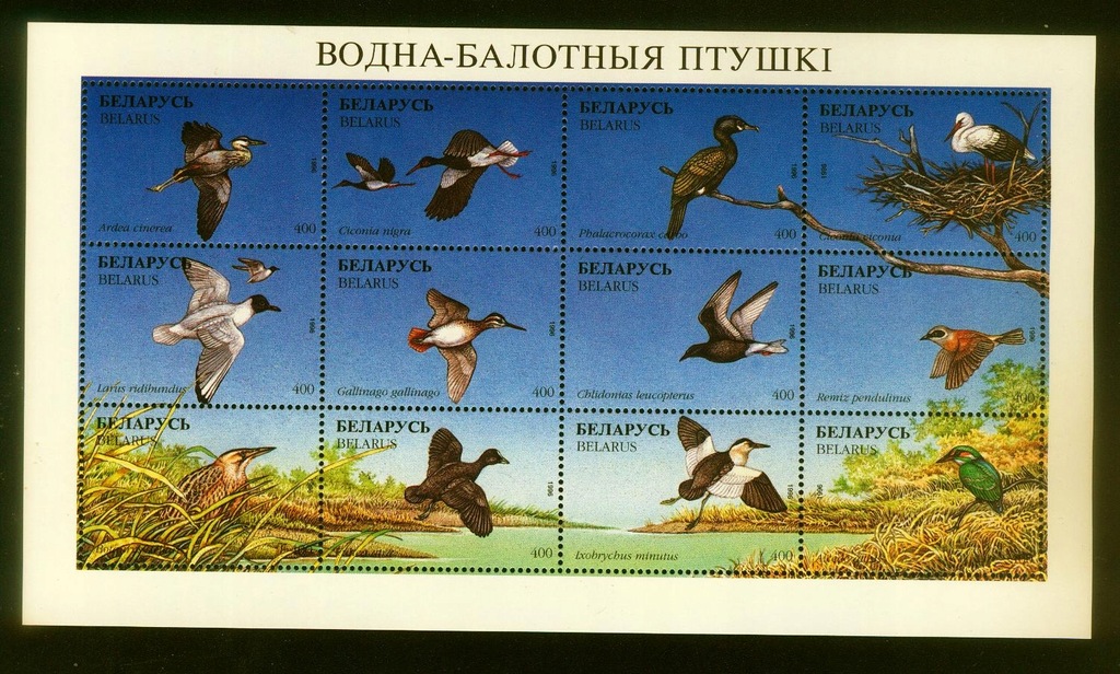 BIAŁORUŚ** Ptaki bagien, ark 12 znaczków Mi 179-90