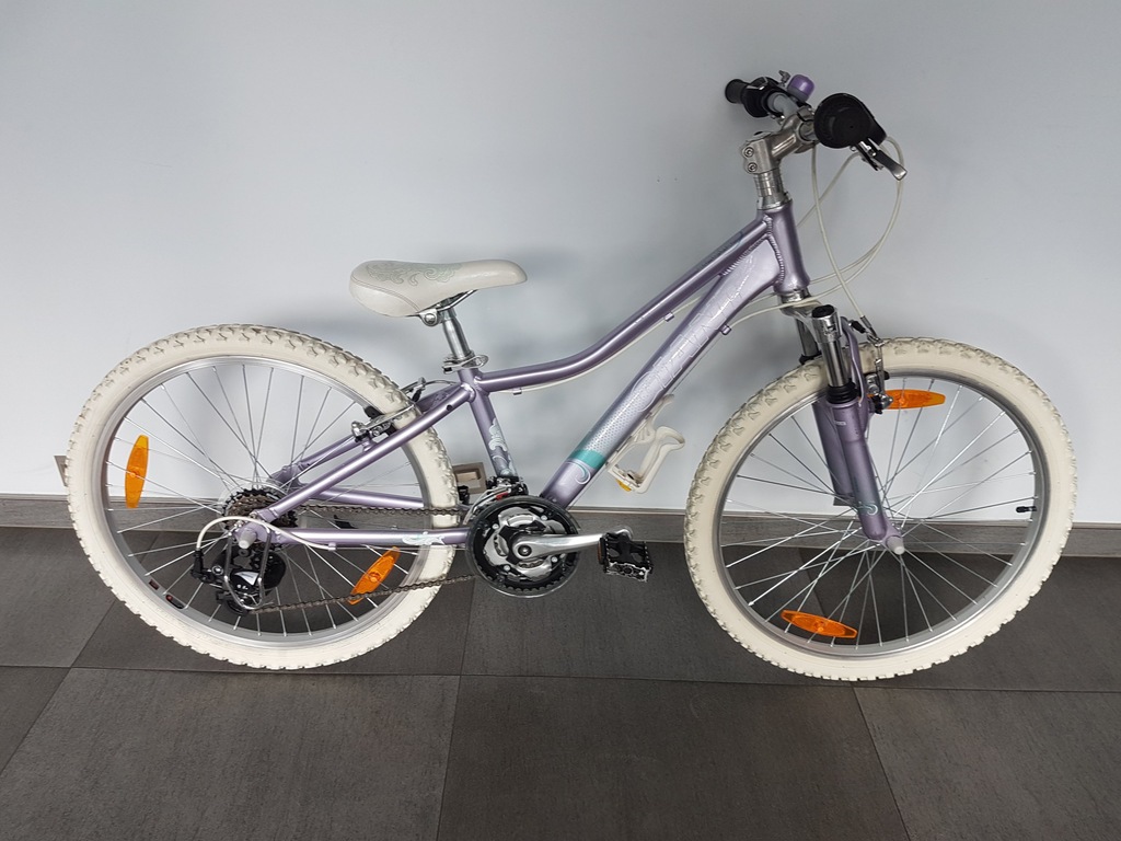 giant areva 24