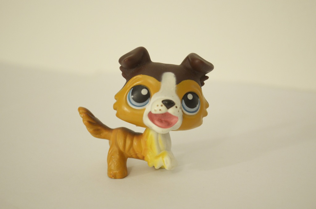 lps figurki littlest pet shop pies collie coli