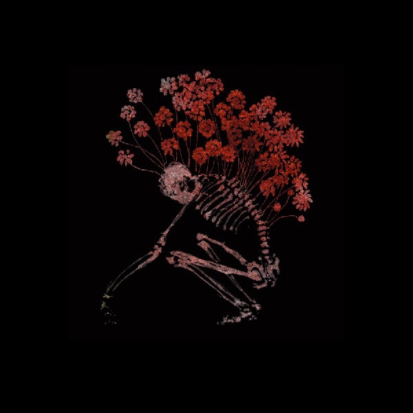 TENHI - Folk Aesthetic 1996-2006 (3 LP)