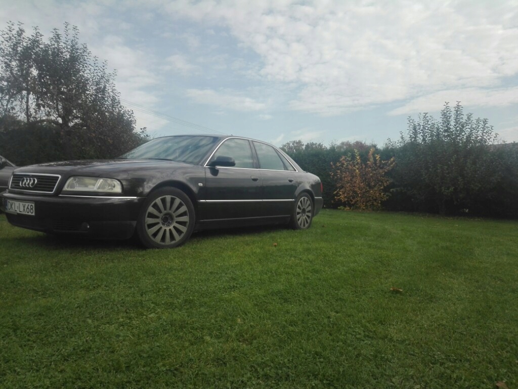 a8 d2 4.2