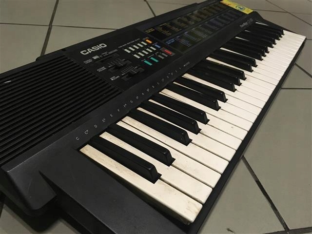 Casio ca online 301