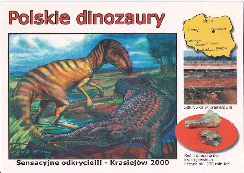 mapa polski krasiejów KRASIEJÓW   DINOZAUR POLSKI   MAPA   2000R   7356941694 