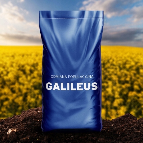 Rzepak ozimy GALILEUS 3ha - nasiona rzepaku