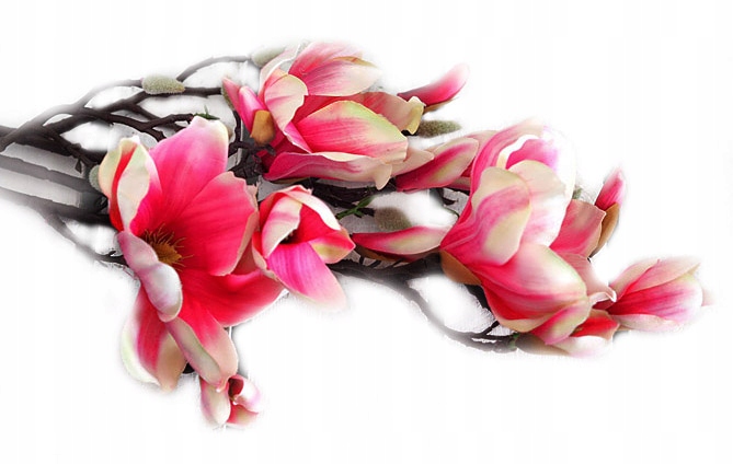 MAGNOLIA SZTUCZNA GAŁĄZKA KWIATY CIEMNY RÓŻ 60cm