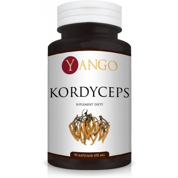 Grzyb Kordyceps (Cordyceps) - ekstrakt 40% polisac