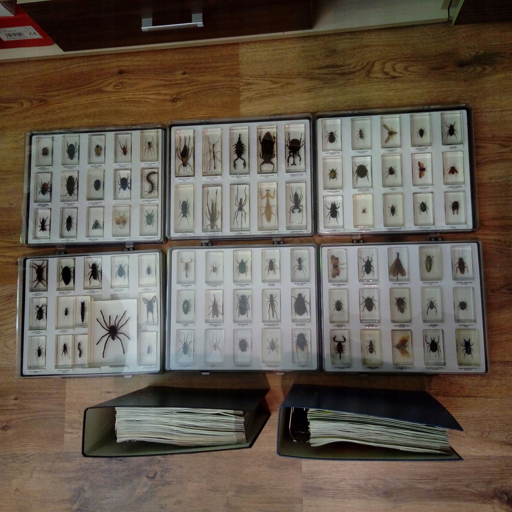 Kolekcja Owady pajęczaki i inne robaki