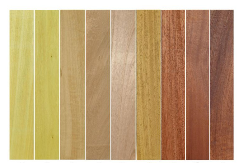 Drewno egzotyczne Niangon, Iroko, Framire, Samba