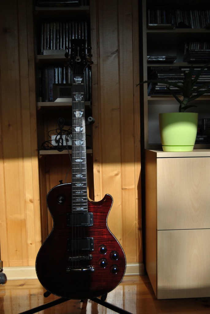 Charvel Desolation DS-1 ST AHB-1B AHB-1N