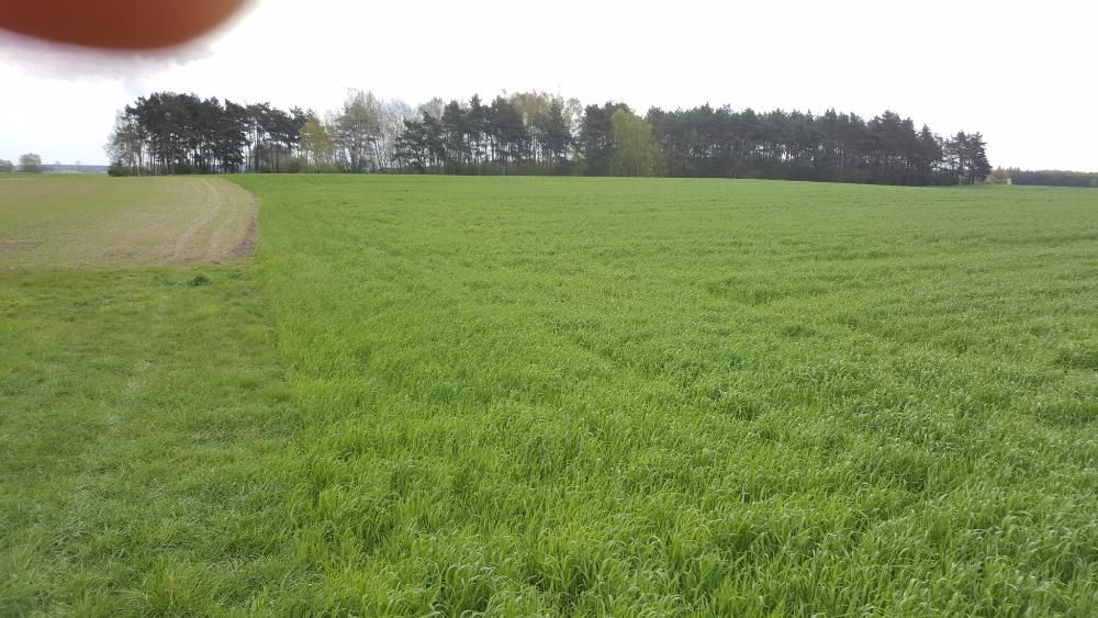 Żwirownia Żwir wydzierżawię lub sprzedam