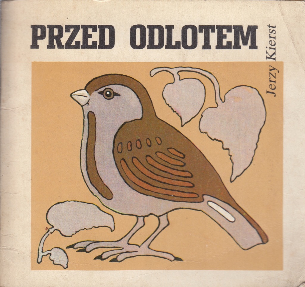 Przed odlotem - Jerzy Kierst
