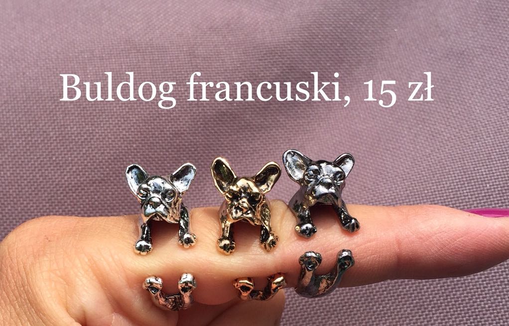 Pierścionek buldog francuski kolor srebrny