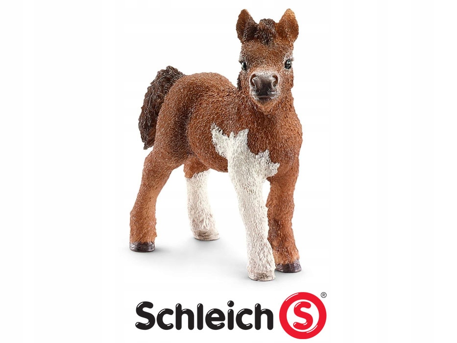 SCHLEICH Koń Kucyk Rasy Shetland - Źrebię 13752