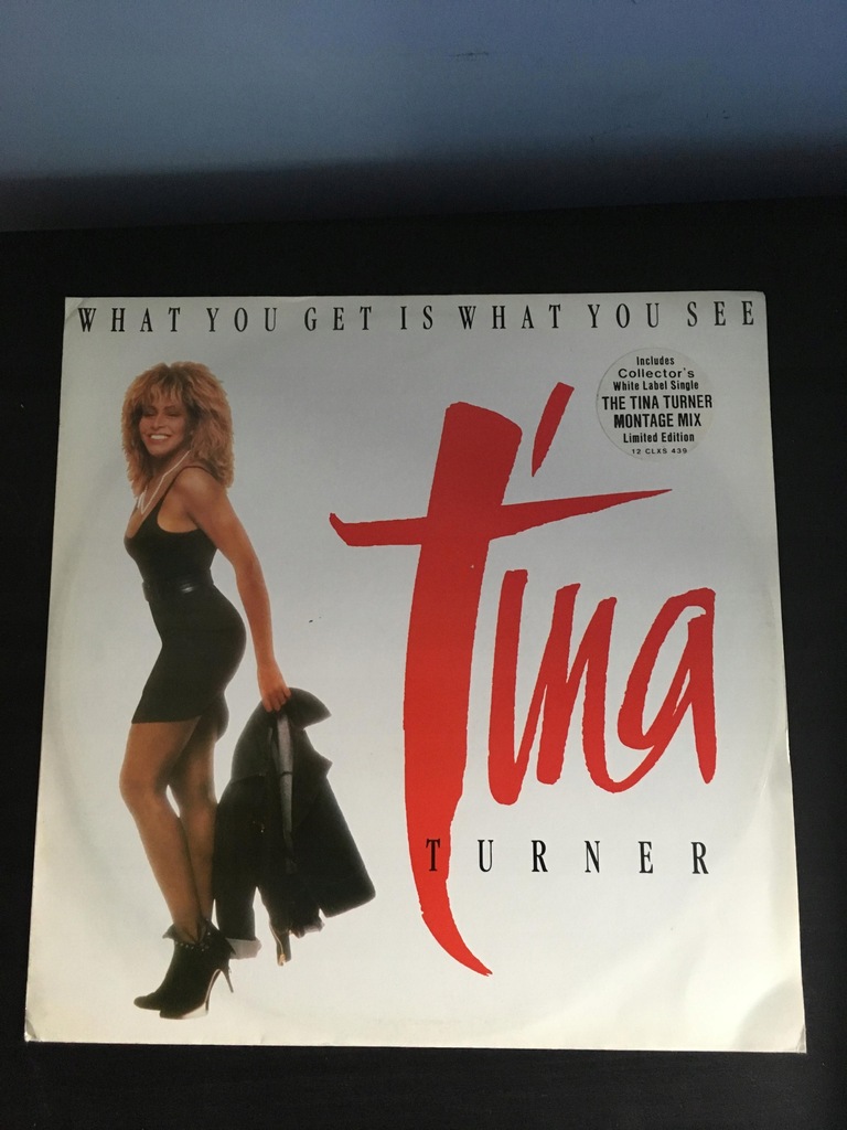 TINA TURNER - WHAT YOU GET IS WHAT YOU maxi 12''