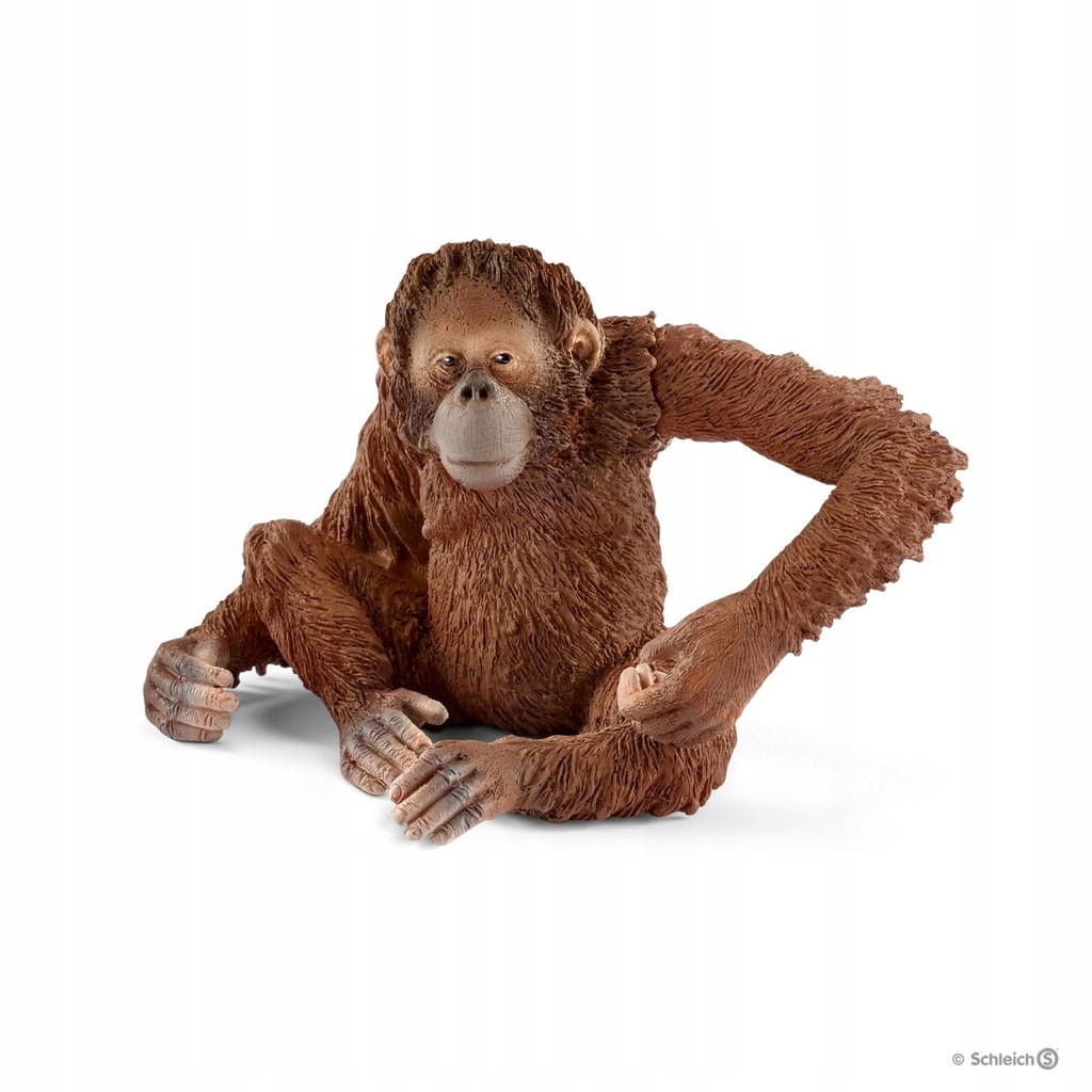 SCHLEICH 14775 Orangutan samica