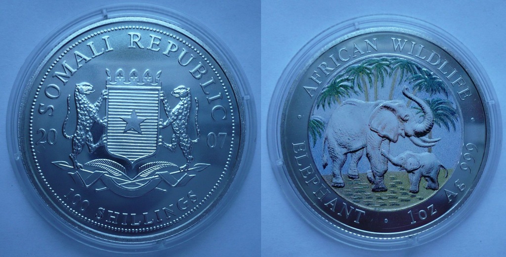 Somalia 100 Shillings 2007 Słonie kolorowa