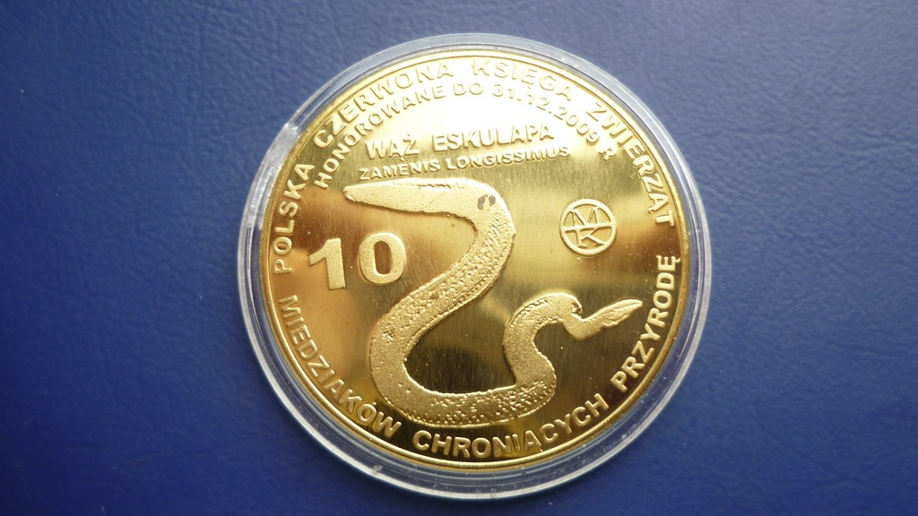 WĄŻ ESKULAPA 10 MIEDZIAKÓW - CZERWONA KSIĘGA