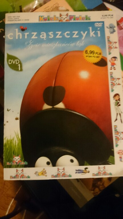 bajka DVD chrząszczyki dla dzieci