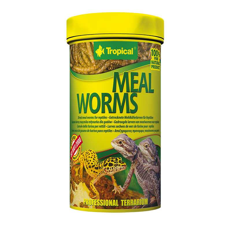 TROPICAL Meal Worms suszone larwy mącznika 100ml